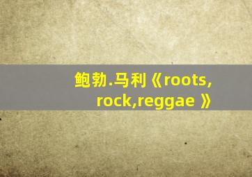 鲍勃.马利《roots,rock,reggae 》